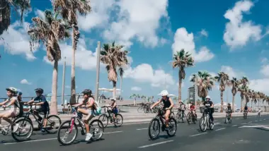group of kids riding bikes on palm tree lined road