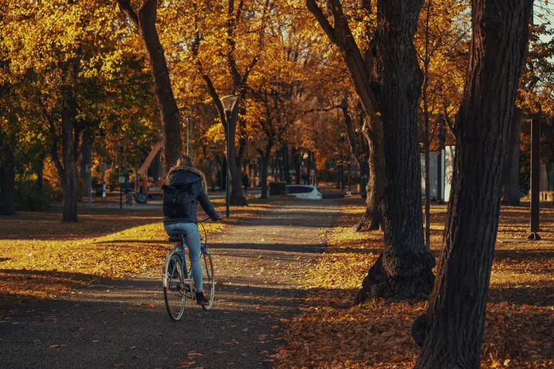 cyclist riding on a path through a park